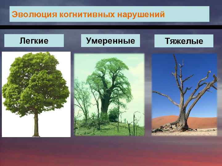 Эволюция когнитивных нарушений Легкие Умеренные Тяжелые 