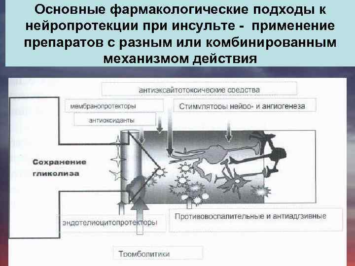 Основные фармакологические подходы к нейропротекции при инсульте - применение препаратов с разным или комбинированным