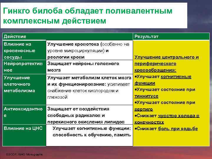 Гинкго билоба обладает поливалентным комплексным действием Действие Влияние на кровеносные сосуды Нейропротектив ное Улучшение