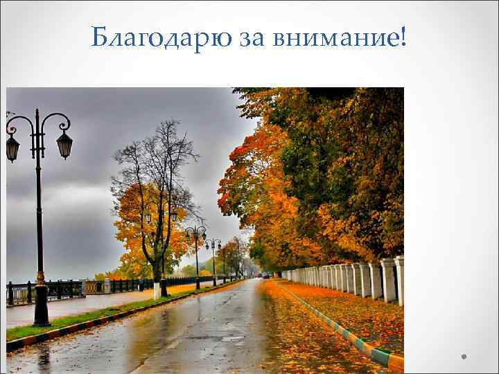 Благодарю за внимание! 