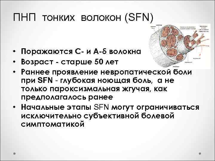 ПНП тонких волокон (SFN) • Поражаются С- и А-δ волокна • Возраст - старше