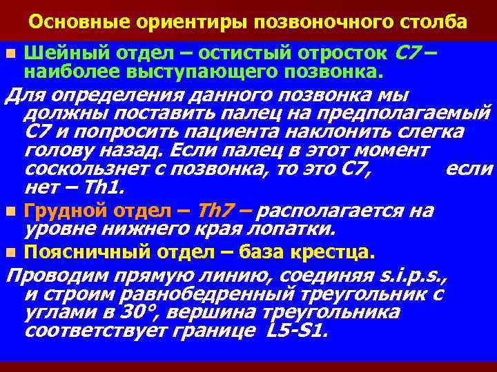 Основные ориентиры позвоночного столба n Шейный отдел – остистый отросток C 7 – наиболее