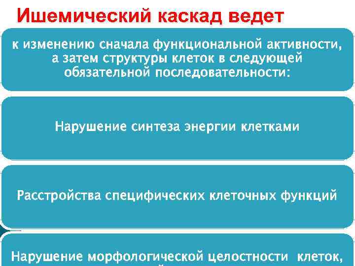 Ишемический каскад ведет к изменению сначала функциональной активности, а затем структуры клеток в следующей