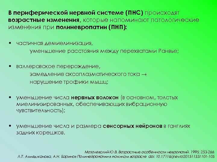 В периферической нервной системе (ПНС) происходят возрастные изменения, которые напоминают патологические изменения при полиневропатии