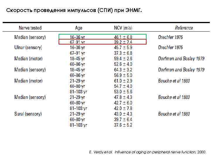 Скорость проведения импульсов (СПИ) при ЭНМГ. E. Verdy et al. Influence of aging on