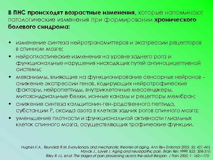 В ПНС происходят возрастные изменения, которые напоминают патологические изменения при формировании хронического болевого синдрома: