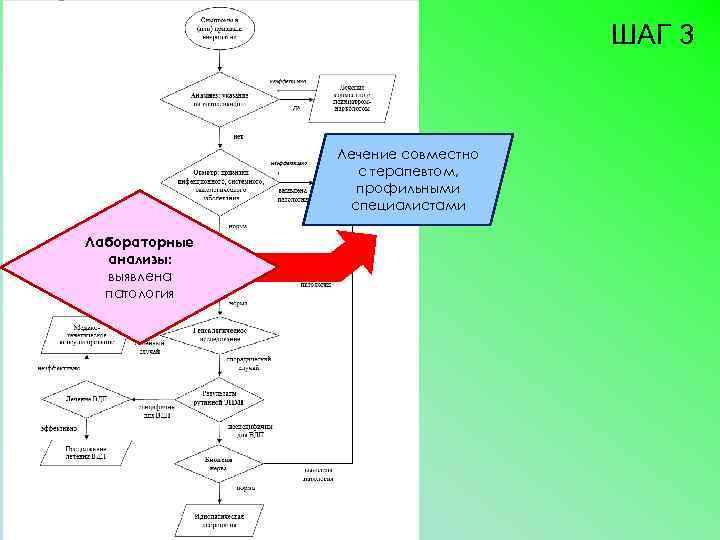 ШАГ 3 Лечение совместно с терапевтом, профильными специалистами Лабораторные анализы: выявлена патология 