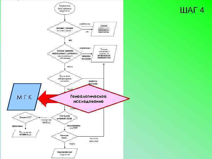 ШАГ 4 МГК Генеалогическое исследование 