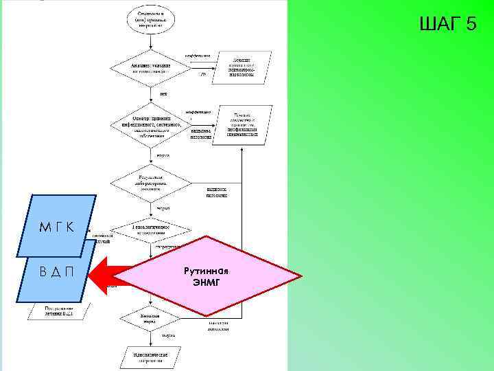 ШАГ 5 МГК ВДП Рутинная ЭНМГ 