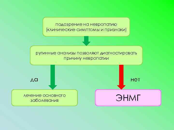 подозрение на невропатию (клинические симптомы и признаки) рутинные анализы позволяют диагностировать причину невропатии да