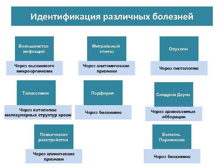 Идентификация различных болезней Большинство инфекций Митральный стеноз Опухоли Через вызванного микроорганизма Через анатомические признаки