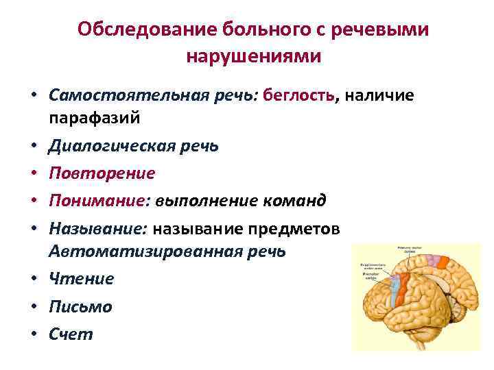 Обследование больного с речевыми нарушениями • Самостоятельная речь: беглость, наличие парафазий • Диалогическая речь