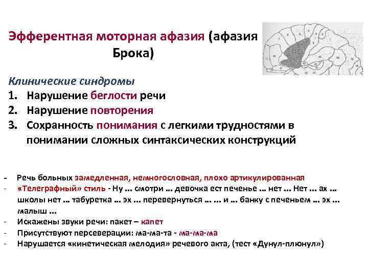 Эфферентная моторная афазия (афазия Брока) Клинические синдромы 1. Нарушение беглости речи 2. Нарушение повторения