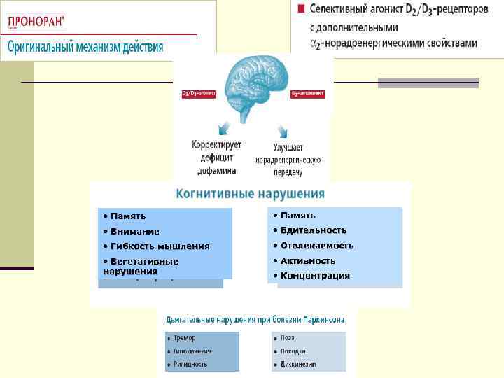  • Память • Внимание • Бдительность • Гибкость мышления • Отвлекаемость • Вегетативные