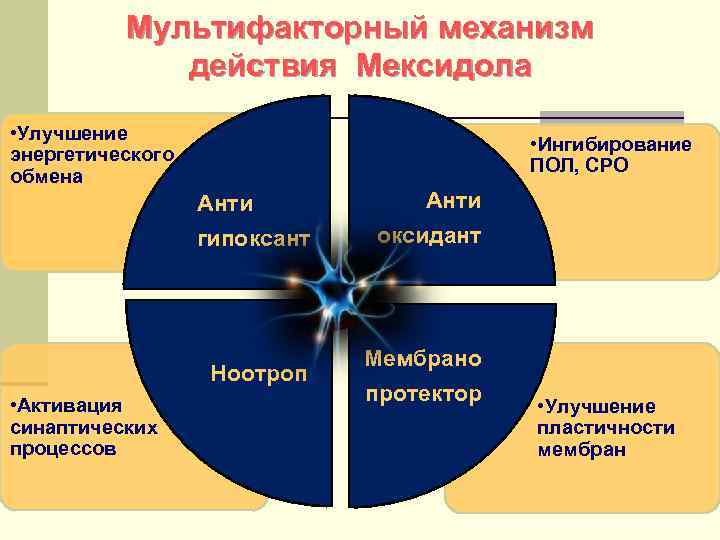 Мультифакторный механизм действия Мексидола • Улучшение энергетического обмена • Ингибирование ПОЛ, СРО Анти гипоксант