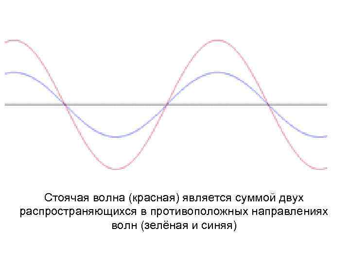 Стоячая волна (красная) является суммой двух распространяющихся в противоположных направлениях волн (зелёная и синяя)