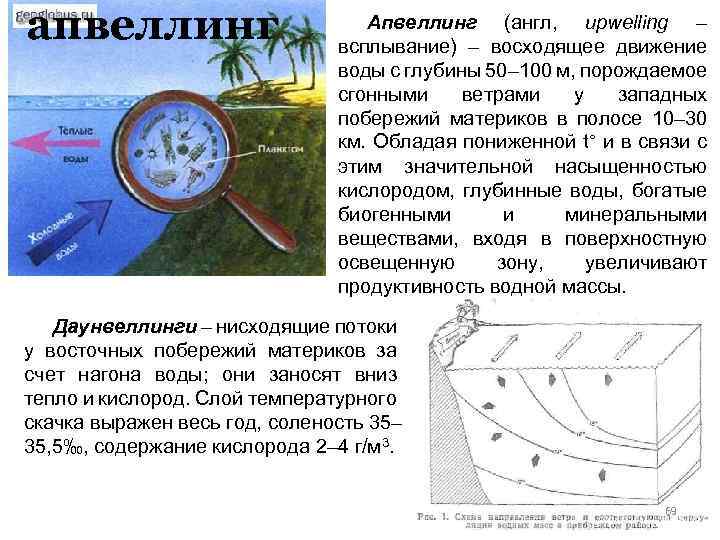 апвеллинг Апвеллинг (англ, upwelling – всплывание) – восходящее движение воды с глубины 50– 100