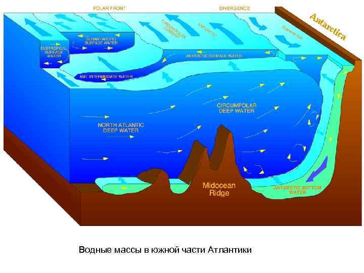 Водные массы в южной части Атлантики 