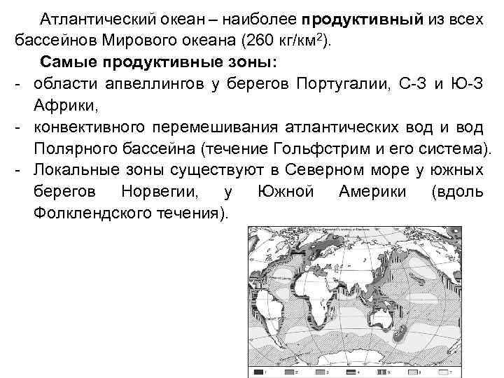 Атлантический океан – наиболее продуктивный из всех бассейнов Мирового океана (260 кг/км 2). Самые