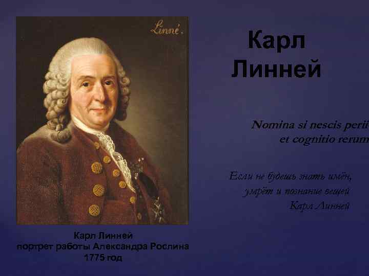 Карл Линней { Карл Линней портрет работы Александра Рослина 1775 год Nomina si nescis