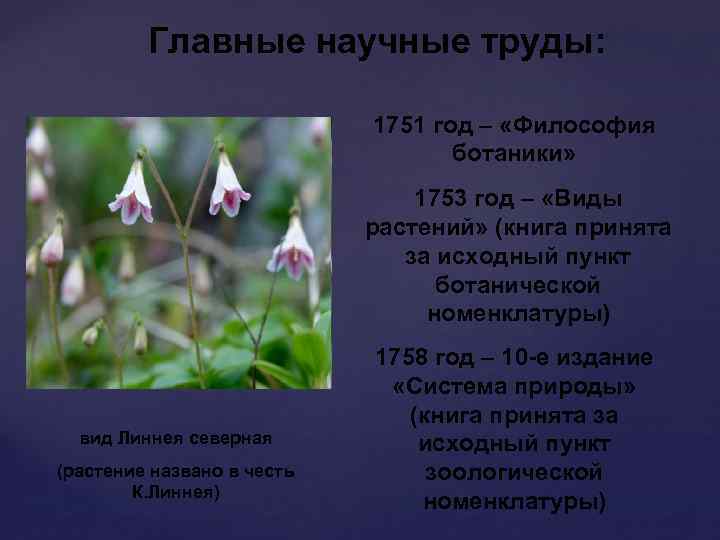 Главные научные труды: 1751 год – «Философия ботаники» 1753 год – «Виды растений» (книга