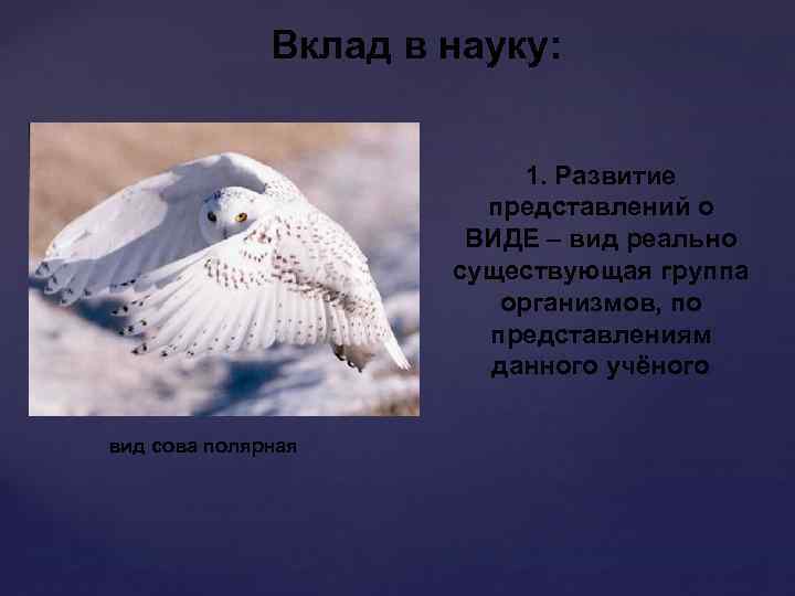 Вклад в науку: 1. Развитие представлений о ВИДЕ – вид реально существующая группа организмов,