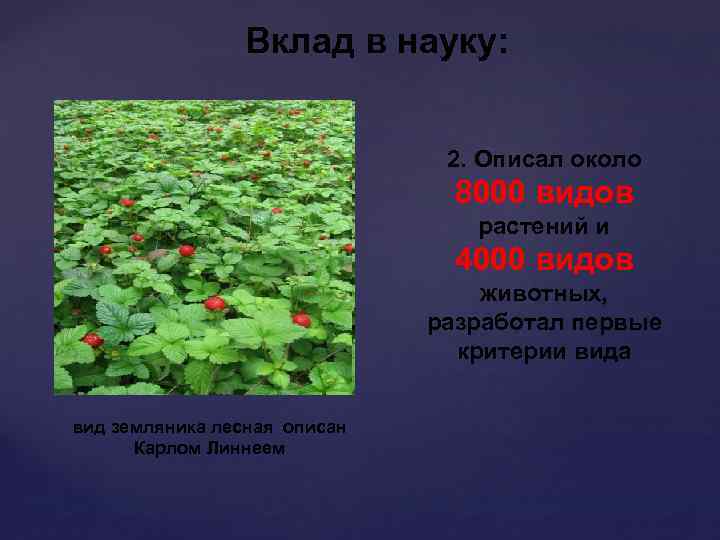 Вклад в науку: 2. Описал около 8000 видов растений и 4000 видов животных, разработал