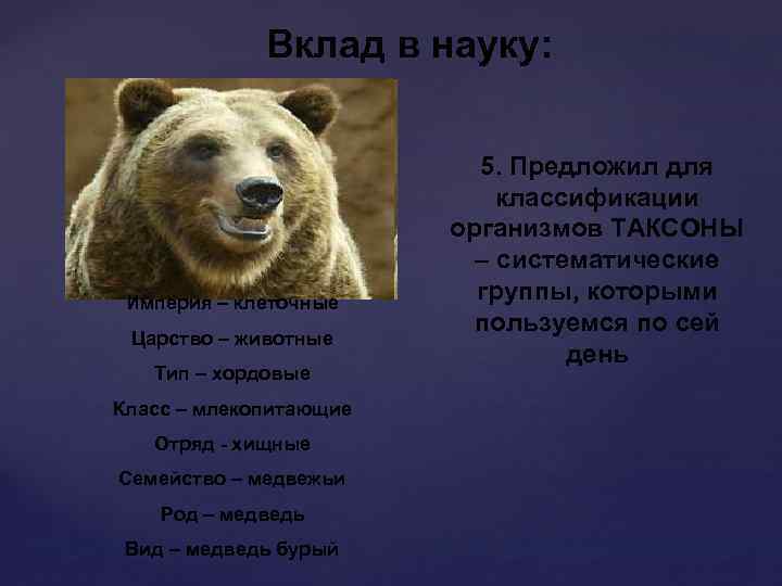 Вклад в науку: Империя – клеточные Царство – животные Тип – хордовые Класс –