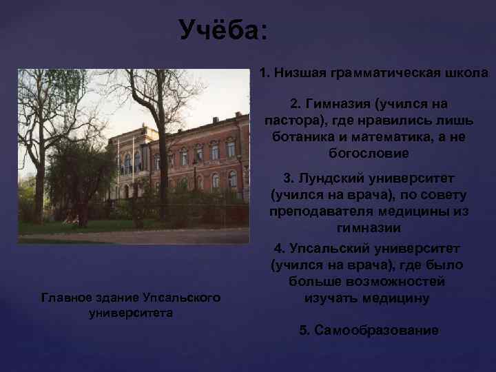 Учёба: 1. Низшая грамматическая школа 2. Гимназия (учился на пастора), где нравились лишь ботаника