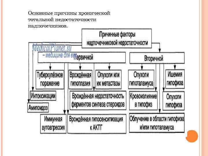 Основные причины хронической тотальной недостаточности надпочечников. 