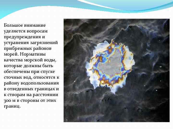 Большое внимание уделяется вопросам предупреждения и устранения загрязнений прибрежных районов морей. Нормативы качества морской