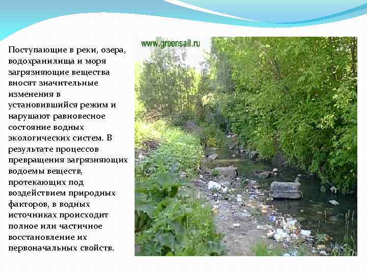 Поступающие в реки, озера, водохранилища и моря загрязняющие вещества вносят значительные изменения в установившийся