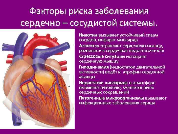 Факторы риска заболевания сердечно – сосудистой системы. • Никотин вызывает устойчивый спазм сосудов, инфаркт