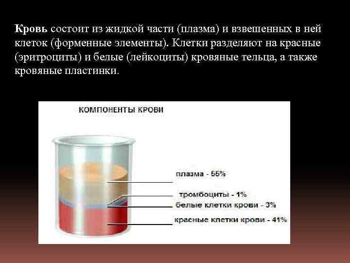 Объем жидкой части крови