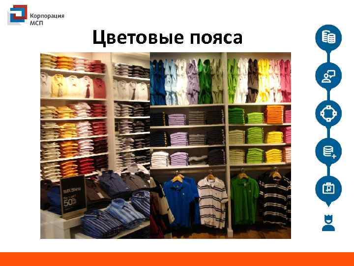 Цветовые пояса 