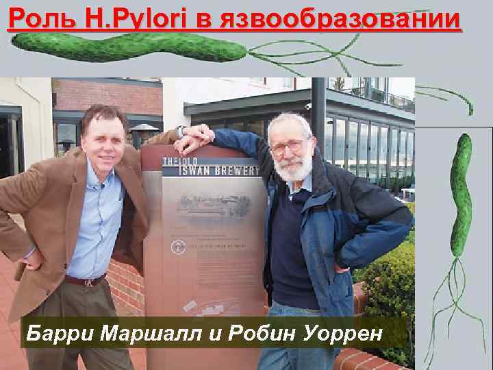 Роль H. Pylori в язвообразовании Барри Маршалл и Робин Уоррен 