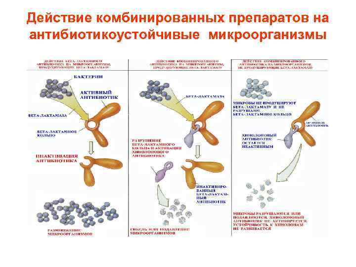 Действие комбинированных препаратов на антибиотикоустойчивые микроорганизмы 