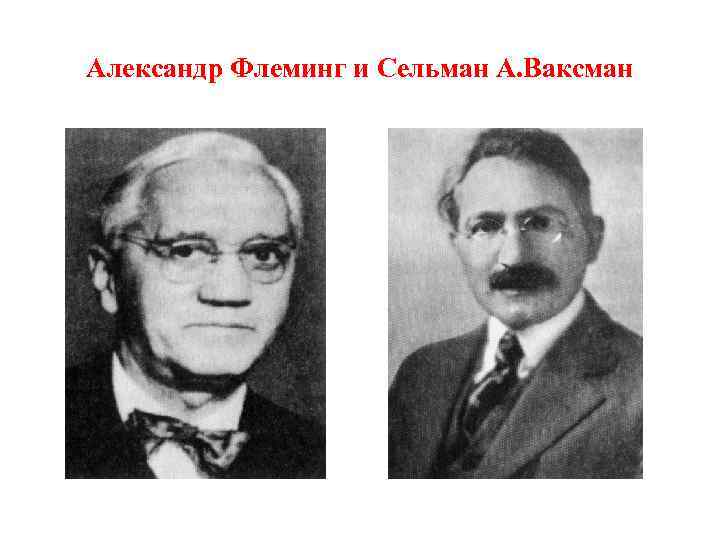 Александр Флеминг и Сельман А. Ваксман 