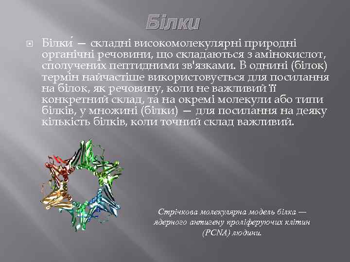 Білки — складні високомолекулярні природні органічні речовини, що складаються з амінокислот, сполучених пептидними зв'язками.