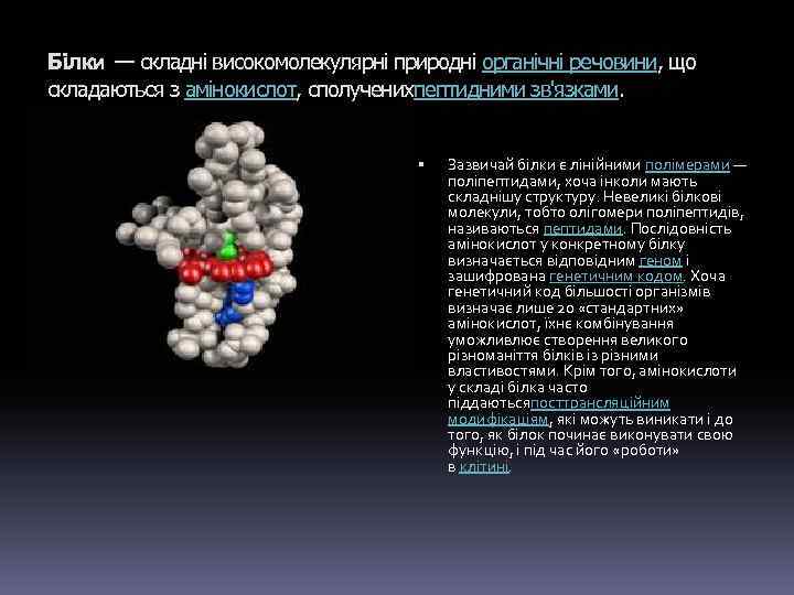 Білки — складні високомолекулярні природні органічні речовини, що складаються з амінокислот, сполученихпептидними зв'язками. Зазвичай
