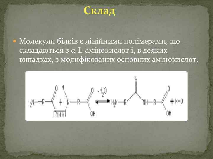  Склад Молекули білків є лінійними полімерами, що складаються з α-L-амінокислот і, в деяких