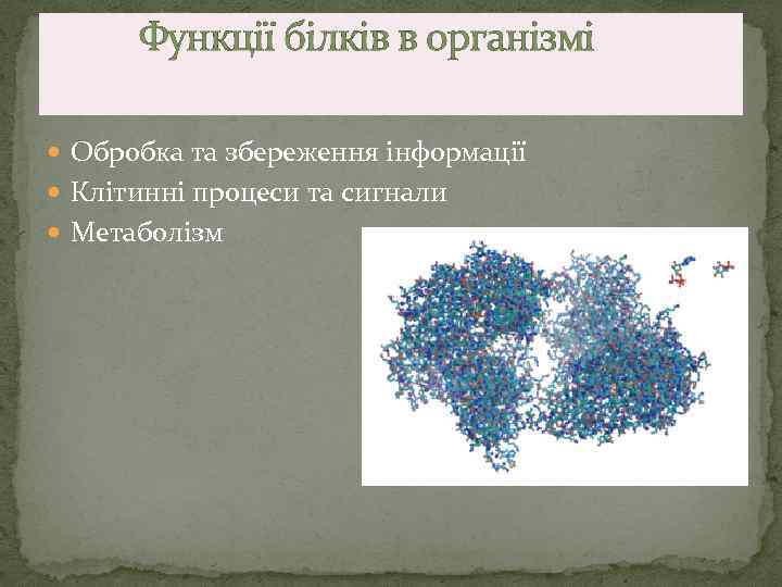  Функції білків в організмі Обробка та збереження інформації Клітинні процеси та сигнали Метаболізм