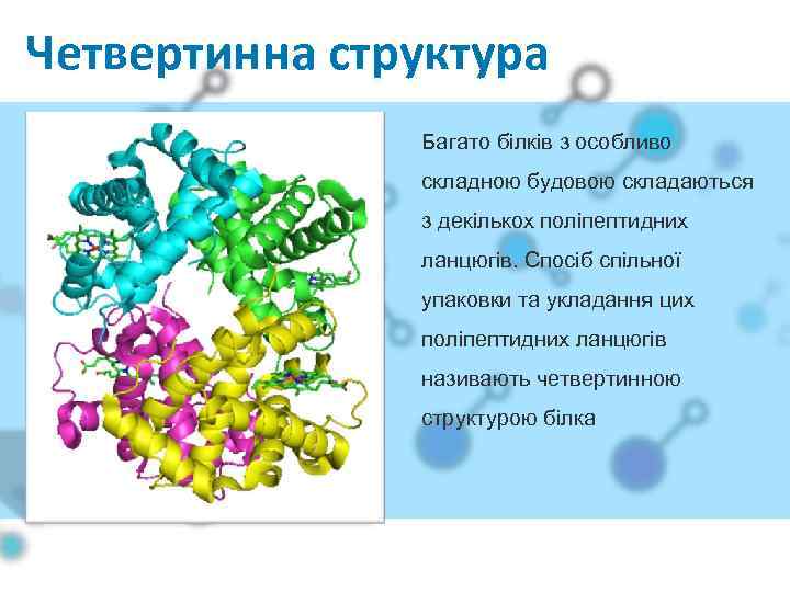 Четвертинна структура Багато білків з особливо складною будовою складаються з декількох поліпептидних ланцюгів. Спосіб