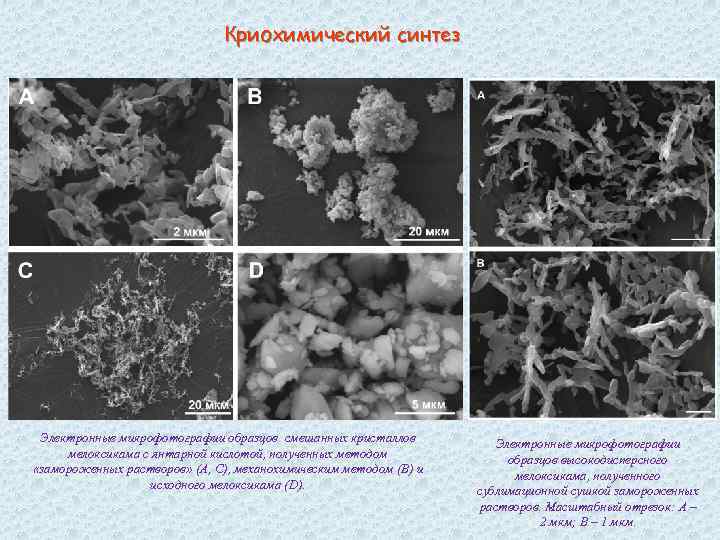 Криохимический синтез Электронные микрофотографии образцов смешанных кристаллов мелоксикама с янтарной кислотой, полученных методом «замороженных