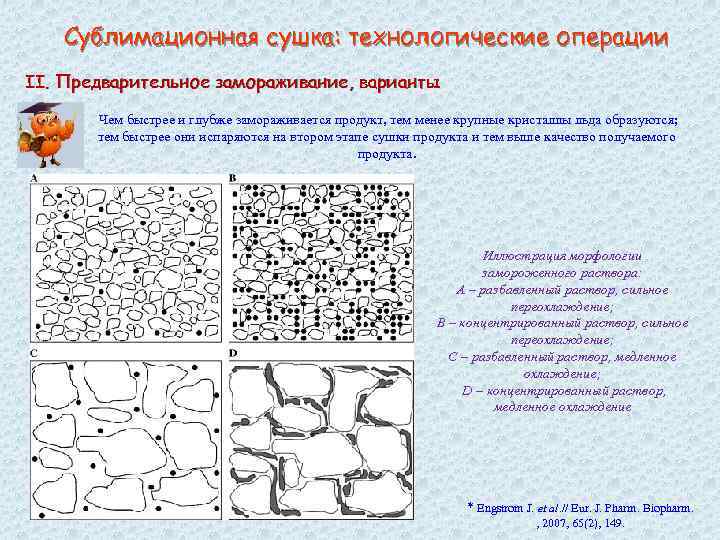 Сублимационная сушка: технологические операции II. Предварительное замораживание, варианты Чем быстрее и глубже замораживается продукт,
