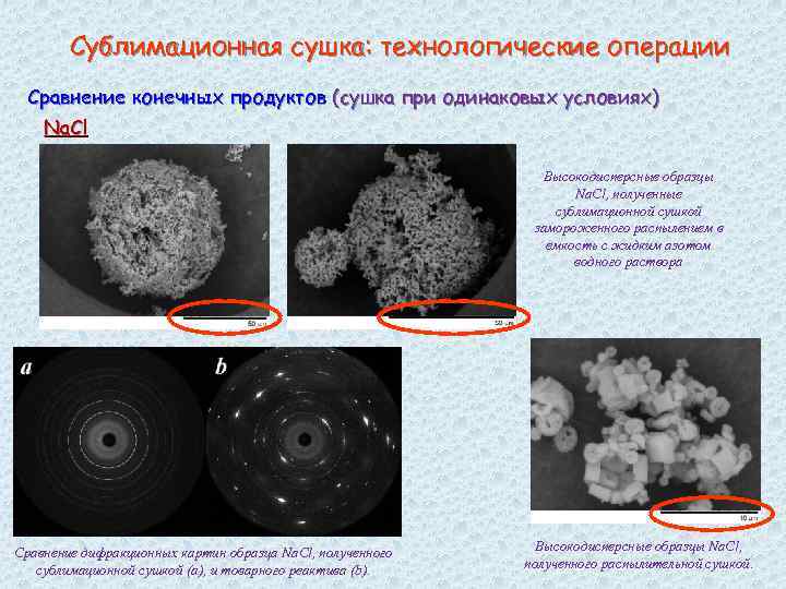 Сублимационная сушка: технологические операции Сравнение конечных продуктов (сушка при одинаковых условиях) Na. Cl Высокодисперсные