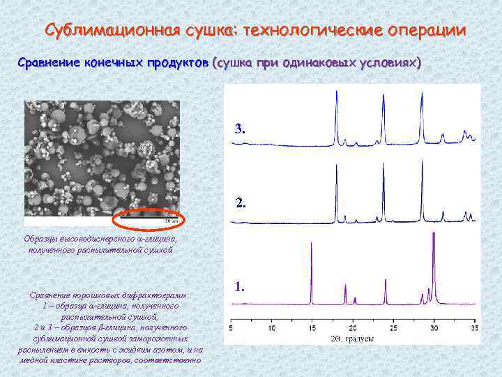 Сублимационная сушка: технологические операции Сравнение конечных продуктов (сушка при одинаковых условиях) 3. 2. Образцы