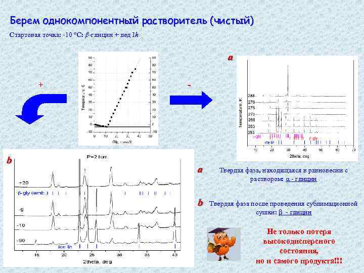 Берем однокомпонентный растворитель (чистый) Стартовая точка: -10 °С: β-глицин + лед Ih а +