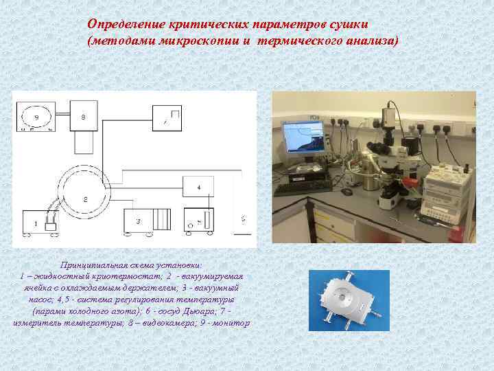 Определение критических параметров сушки (методами микроскопии и термического анализа) Принципиальная схема установки: 1 –