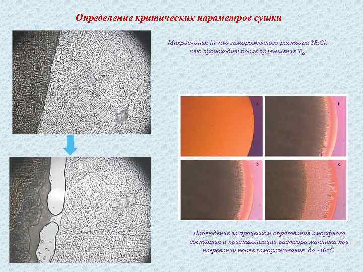 Определение критических параметров сушки Микроскопия in vivo замороженного раствора Na. Cl: что происходит после